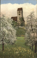 11853458 Beinwil See Kirche Baumbluete Beinwil See - Andere & Zonder Classificatie