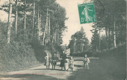 50 Environs De  QUETTEHOU - MORSALINES - Chemin De L'Eglise -  TTB - Sonstige & Ohne Zuordnung