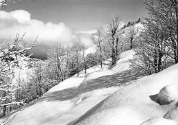 73 Méribel Les Allues Le Manteau De Neige  (scan R/V)  33 \PC1203 - Courchevel