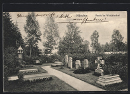 AK München-Hadern, Partie Im Waldfriedhof  - München