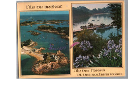 ILE DE BREHAT 22 - La Plage De Guerzido Et Le Debarcadere Du Port Clos 1989 Ile Des Fleurs Et Des Rochers Roses Bâteau - Ile De Bréhat