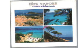 LA COTE VAROISE MEDITERRANEENNE - Plage Rocher Fleur Palmier Mer Turquoise Pin Arbre  - Sonstige & Ohne Zuordnung