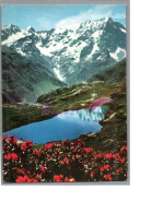 LES ALPES PITTORESQUE 05 - Le Printemps En Haute Altitude Le Lac LAUZON 1965 - Other & Unclassified