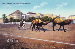 Tunisie -  TUNIS -  Le Bardo Palais Beylicale - Tunisie