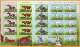 2019 Moldova Moldavie Fauna. Domestic Animals. Goat. Rabbit. Cow. Horse. 4 Sheets Mint - Ferme