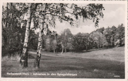 Halberstadt   1962  Jahnwiese - Halberstadt