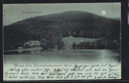 Mondschein-AK Bad Lauterberg, Ruderboote Auf Dem Wiesenbeckerteich  - Bad Lauterberg