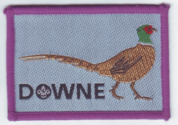 B 24 - 114 ENGLAND Scout Badge - Downe - Scouting