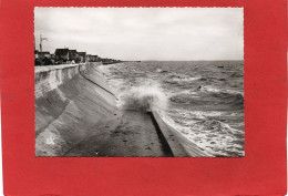 17----CHATELAILLON----Effet De Mer Sur Le Remblai---voir  2 Scans - Châtelaillon-Plage