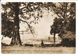 CPSM  10.5 X 15 Guinée CONAKRY La Corniche   Et Bâteaux De Pêche - Guinea