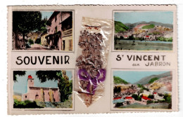 04 ALPES DE HAUTE PROVENCE SAINT VINCENT SUR JABRON Souvenir  Plan Peu Courant - Autres & Non Classés