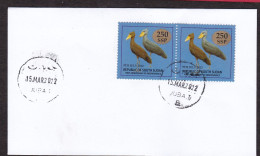 SOUTH SUDAN Cover With 2x  250 SSP Overprint On 1 SSP Shoe-Billed Stork Birds Oiseaux JUBA Tel B Seal SOUDAN Süd-Sudan - South Sudan