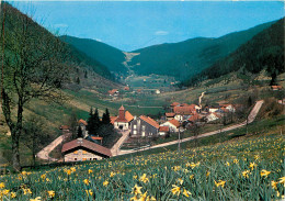 Environs De GERARDMER Le Valtin Le Rudlin Et Le Col Du Louchbach 5(scan Recto Verso)MF2762 - Gerardmer