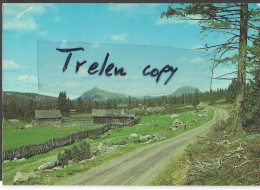 Norge, Norwegen, Steinsetbygda,  1981, Gelaufen, Circulée - Norway