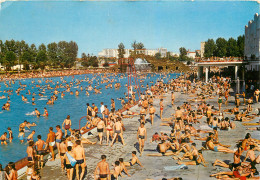 TOULOUSE La Piscine Du Parc Municipal Des Sports 28(scan Recto Verso)MF2764 - Toulouse