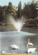 VALENCIENNES Les Cygnes Au Jardin De La RHONELLE  29 (scan Recto Verso)MF2764BIS - Valenciennes