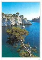 CASSIS Et Ses Calanques Calanque De Port Miou 8(scan Recto Verso)MF2767 - Cassis