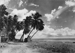 MARTINIQUE Une Plage  34 (scan Recto Verso)MF2770BIS - Sonstige & Ohne Zuordnung