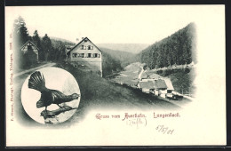 AK Schluchsee, Gasthof Auerhahn, Blick Ins Thal  - Schluchsee