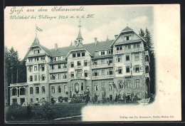 AK Villingen / Baden, Waldhotel, Kutsche Im Vordergrund  - Baden-Baden