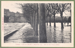 CPA - VOSGES - ÉPINAL - CRUE DE LA MOSELLE LE 24 DÉCEMBRE 1919 - ALLÉE DU PETIT CHAMP DE MARS - Petite Animation, - Epinal