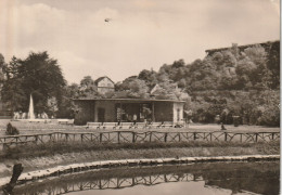 Bad Kösen   1965   Im Tierpark - Bad Kösen