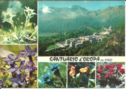 Oropa (Biella) Santuario, Panorama Estivo E Flora Alpina, Summer View Of The Sanctuary, Vue Du Sanctuaire D'Eté - Biella