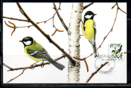 SUOMI FINLAND FINLANDIA FINLANDE 1991 1992 BIRDS FAUNA WAGTAIL BIRD 10p MAXI MAXIMUM CARD - Cartes-maximum (CM)