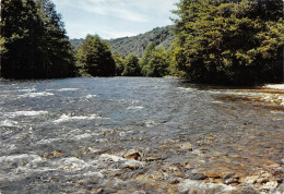 03  L'allier à La LA VALLEE De La SIOULE  27 (scan Recto Verso)MF2775BIS - Lapalisse