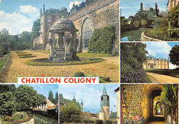 45 CHATILLON COLIGNY Terrasse Du Chateau  57 (scan Recto Verso)MF2775TER - Chatillon Coligny