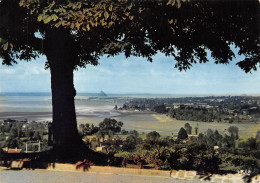 50  AVRANCHES  Vue Sur Le Mont St Michel  45 (scan Recto Verso)MF2775VIC - Avranches