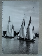 Kov 716-11 - HUNGARY, BALATON, REGATTE, SAILING BOAT - Ungarn