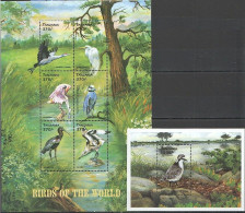 Pk164 Tanzania Fauna Sea Birds Of The World Bl+Kb Mnh Stamps - Other & Unclassified
