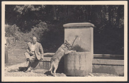 Fiuggi Fonte 1955, Foto Santesarti, Cane Beve Dalla Fontana, Fotografia Vintage - Places