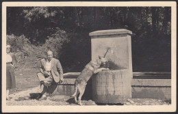 Fiuggi Fonte 1955, Foto Santesarti, Cane Beve Dalla Fontana, Fotografia Vintage - Plaatsen