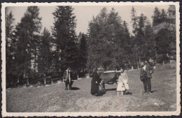 In Un Prato Ad Ospitale - Fotografia D'epoca - 1940 Vintage Photo - Places