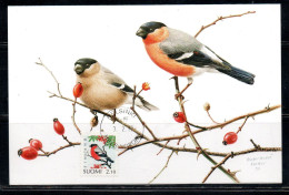 SUOMI FINLAND FINLANDIA FINLANDE 1991 1992 BIRDS FAUNA BULLFINCH BIRD 2.10m MAXI MAXIMUM CARD - Maximumkarten (MC)
