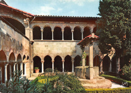 FREJUS La Cathédrale Le Cloitre Intérieur  6 (scan Recto Verso)MF2794 - Frejus