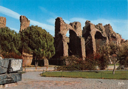 FREJUS Les Arènes Romaines   20 (scan Recto Verso)MF2794 - Frejus