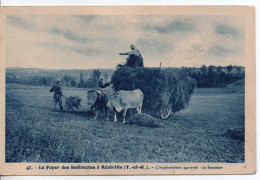 Carte Postale Ancienne Réalville - Le Foyer Des Indirectes. L'exploitation Agricole. La Fenaison - Agriculture, Attelage - Realville