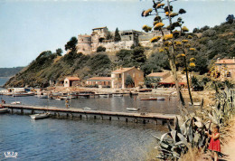 HYERES LES PALMIERS  île De Port Gros Vue D'ensemble  29 (scan Recto Verso)MF2794BIS - Hyeres