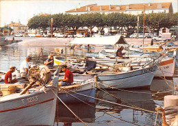 SAINT RAPHAEL  Le Port  De Pêche  12 (scan Recto Verso)MF2795 - Saint-Raphaël