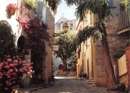 LE CASTELLET Village Médiéval Une Rue Fleurie  24 (scan Recto Verso)MF2796 - Le Castellet