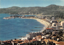 83 LE LAVANDOU Vue Générale Sur La Ville 43  (scan Recto Verso)MF2796 - Le Lavandou