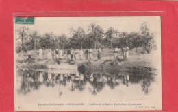 EXTREME-SUD-ORANAIS . BENI-ABBES . FLOTTILLE DE " LA SAOURA "  DISTRACTION DU CARNAVAL . CARTETRES ANIMEE AFFR RECTO / V - Andere & Zonder Classificatie