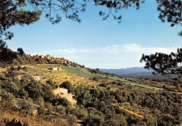 TOURTOUR  Un Village Dans Le Ciel  Prés De DRAGUIGNAN  17 (scan Recto Verso)MF2796TER - Draguignan