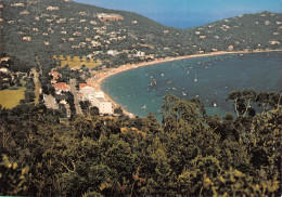 83 CAVALIERE CAP NEGRE La Plage Vue Générale Sur La Baie  24 (scan Recto Verso)MF2796TER - Brignoles