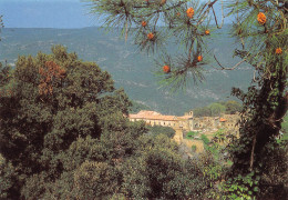 83 COLLOBRIERES Monastère De La VERNE Vue D'ensemble  41 (scan Recto Verso)MF2796TER - Collobrieres