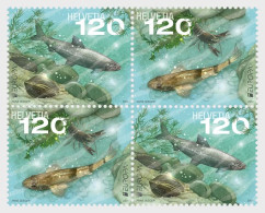 Switzerland Schweiz Suisse 2024 Europa CEPT Fishes Underwater Rare Fauna Block 2x2 Of 2 Sets MNH - Unused Stamps