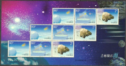 China 2003, Jilin Meteorite Shower Of 1976, Sheetlet - Mineralen